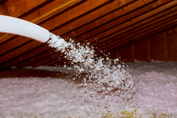 Best Insulation Installation Services in Ceredo, WV